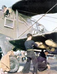 Royal Navy Aircraft, 1942